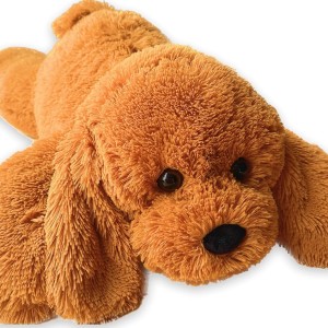 Toy