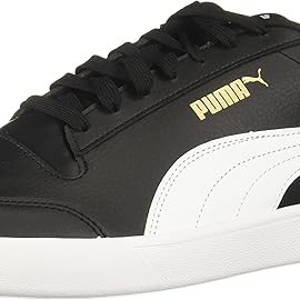 shoe 9