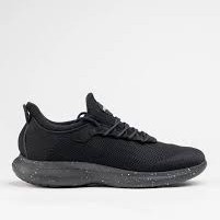shoe 2