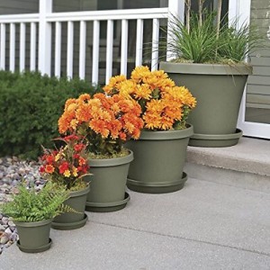 Terrabloom Planter